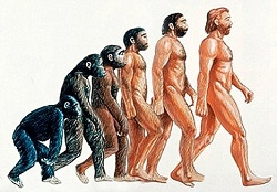 The evolution of man’s thought